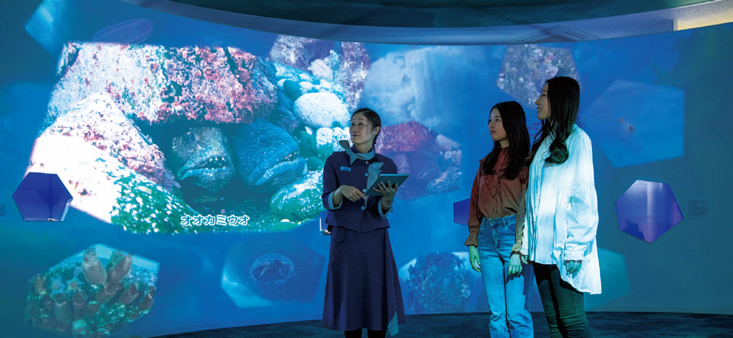 オホーツク流氷館 / JR流氷物語号