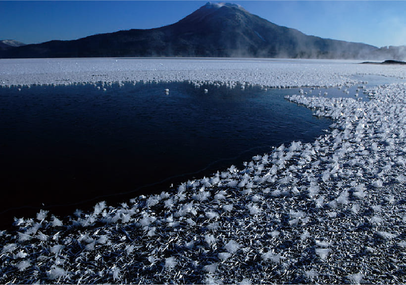 前田一歩園財団