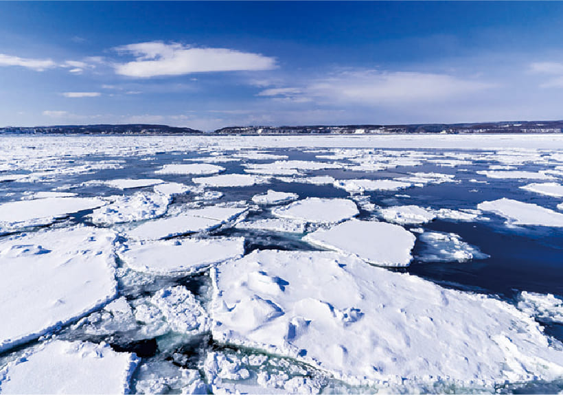 オホーツク流氷トラスト運動