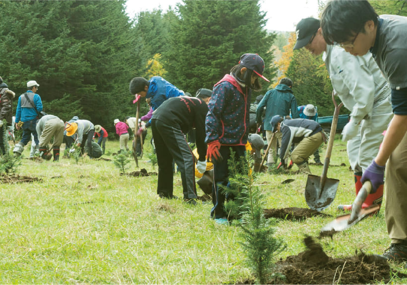 しれとこ100㎡運動の森トラスト