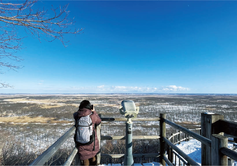 釧路湿原散歩