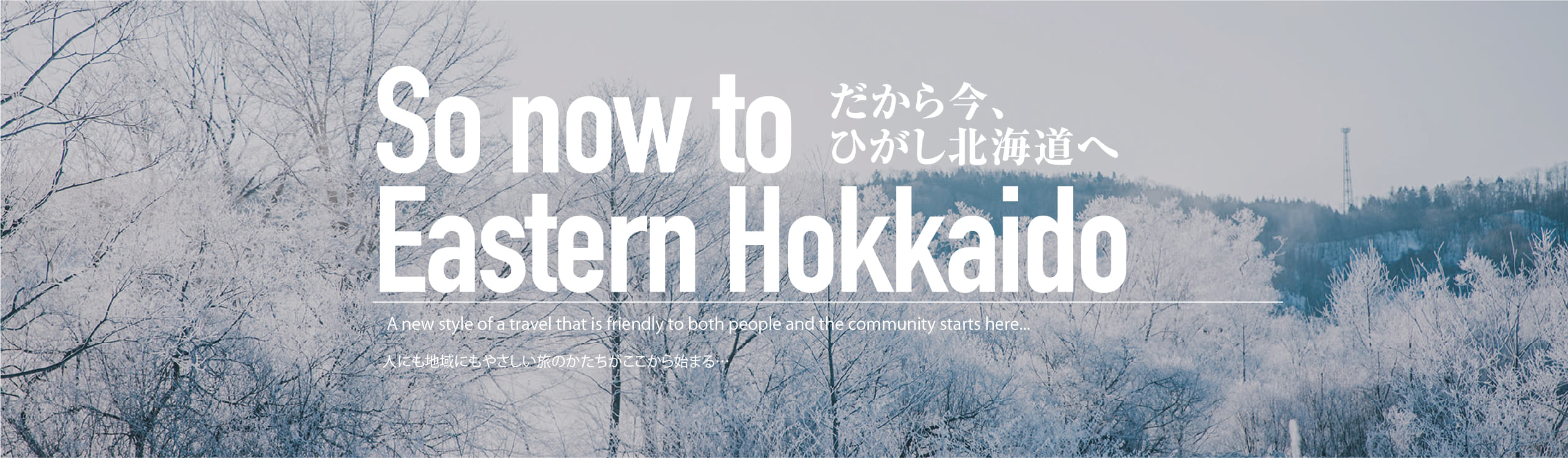 アクティビティ特集